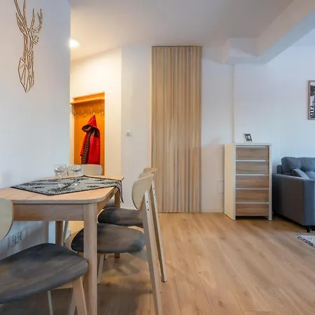 Why Not Apartament Przy Skoczni Zakopane Exterior photo