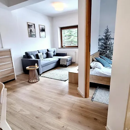 Why Not Apartament Przy Skoczni Zakopane Exterior photo